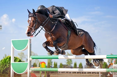 Equine Anti-Doping Code